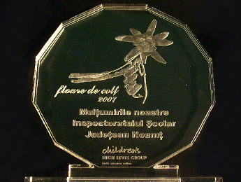 productie publicitara spotdesign 5